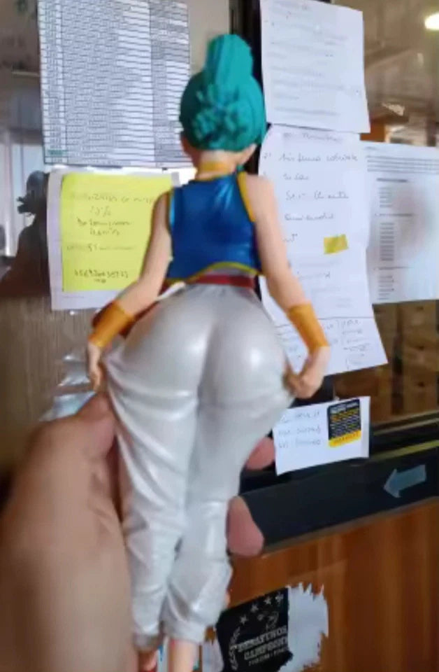 Bulma Arabian Style Dragon Ball Z Curvy Anime Figure PVC 11" [No Box] *Adult Collectible*