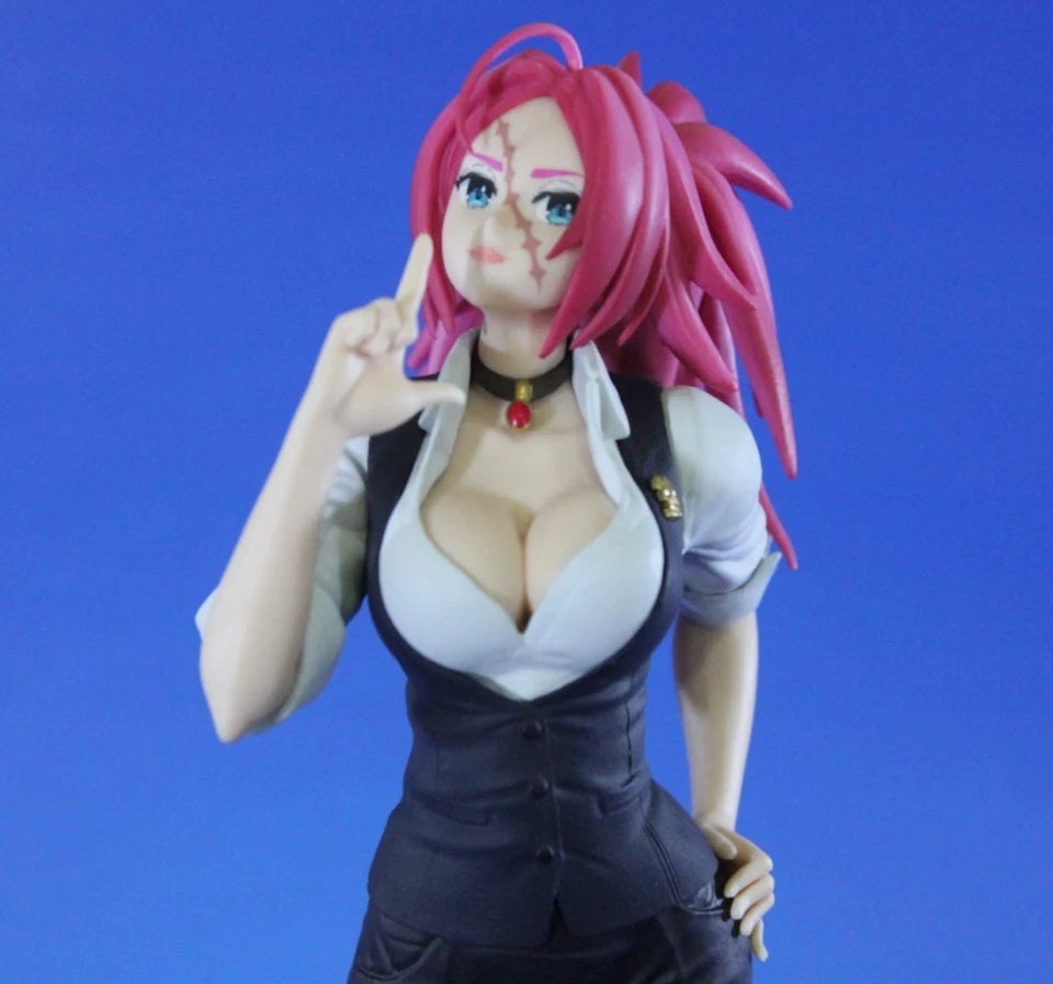 Francis Drake Fate/Extra Last Encore Anime Figure Model Statue PVC 8" [Original]