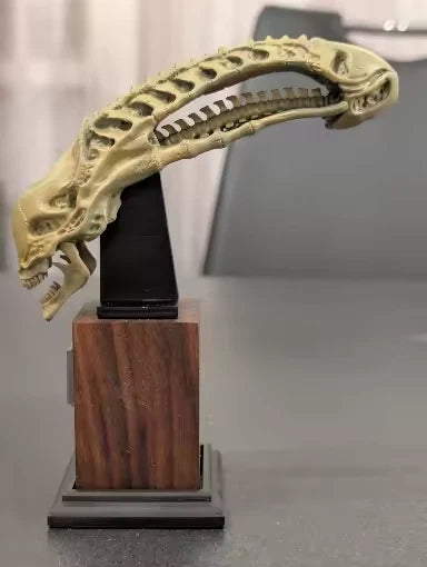 Alien Skull Desktop Ornament Decor Collectible Xenomorph Figure PVC 6" [No Box]